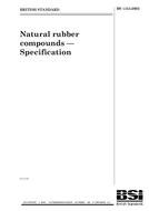 Die Norm BS 1154:2003 18.6.2003 Ansicht