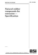 Die Norm BS 1155:2003 18.6.2003 Ansicht