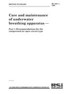 UNGÜLTIG BS 4001-1:1998 15.8.1998 Ansicht