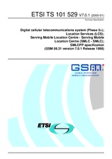 Die Norm ETSI TS 101529-V7.0.1 24.1.2000 Ansicht