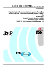 Die Norm ETSI TS 133210-V10.3.0 28.6.2011 Ansicht