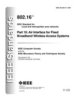 Ansicht IEEE 802.16-2001 8.4.2002