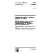 Die Norm ISO 1268-10:2005 4.2.2005 Ansicht