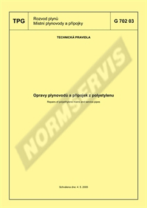 Die Norm TPG 70203 4.5.2005 Ansicht